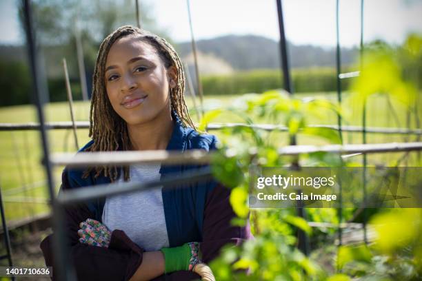 portrait confident young woman in sunny garden - sevenoaks stock pictures, royalty-free photos & images