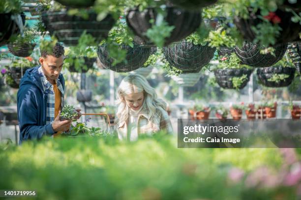 couple shopping for plants below hanging baskets in garden shop - couple shopping stock pictures, royalty-free photos & images