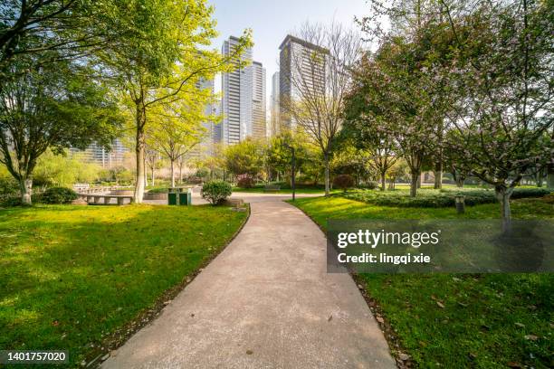 road in a garden in a residential area - pavement stock-fotos und bilder