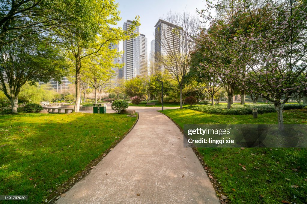 Road in a garden in a residential area