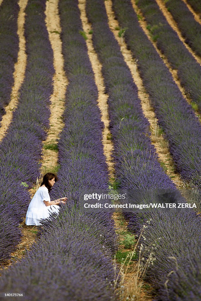 Woman walking in field of purple flowers