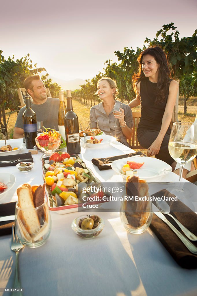 Family eating dinner in vineyard