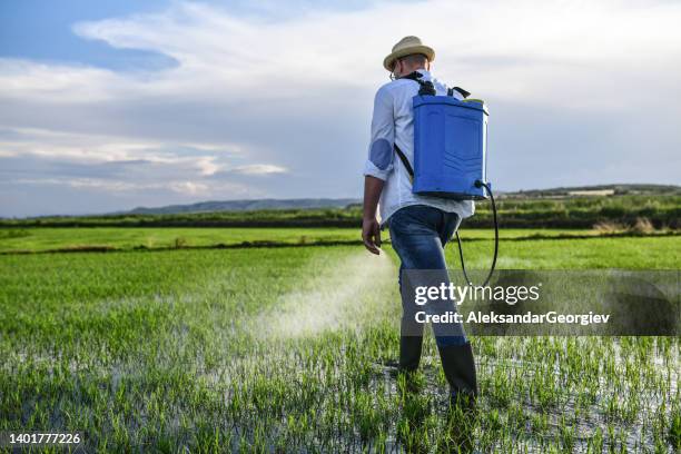 Field Getting Sprayed Knapsack Sprayer Photos and Premium High Res Pictures - Getty Images