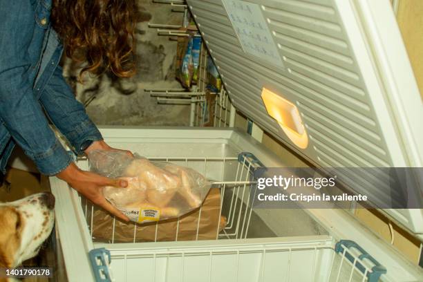 Person Using Chest Freezer 11 Chest Freezer Home Stock Photos, High-Res Pictures, and Images ...
