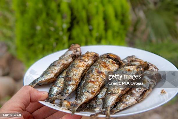 a plate of grillos sardinas - sardine photos et images de collection
