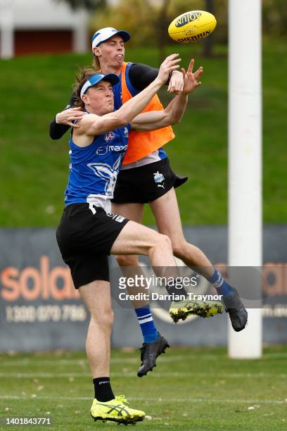 Nick Larkey of the Kangaroos marks the ball during a North Melbourne Kangaroos AFL training session at Arden Street Ground on June 09, 2022 in...