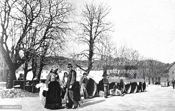 living in herb tubs in laibach, ljubljana, that was hit by an earthquake - slovenia stock illustrations