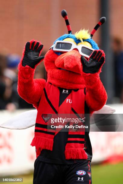 The mascot reacts during an Essendon Bombers AFL training session at Windy Hill on June 09, 2022 in Melbourne, Australia.