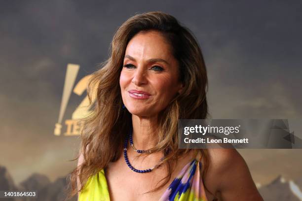 Amy Brenneman attends FX's "The Old Man" Season 1 LA Tastemaker Event at Academy Museum of Motion Pictures on June 08, 2022 in Los Angeles,...
