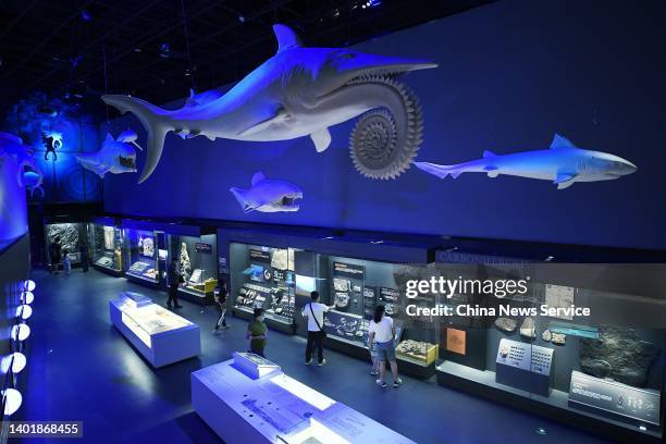 People visit National Maritime Museum of China on June 8, 2022 in Tianjin, China. World Oceans Day falls on June 8 every year.