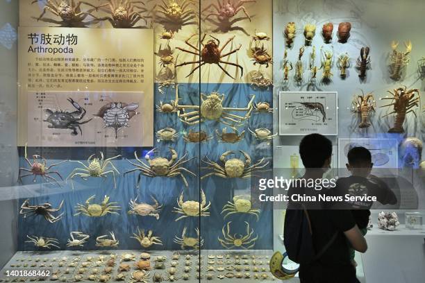 People visit National Maritime Museum of China on June 8, 2022 in Tianjin, China. World Oceans Day falls on June 8 every year.