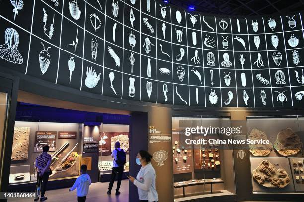 People visit National Maritime Museum of China on June 8, 2022 in Tianjin, China. World Oceans Day falls on June 8 every year.