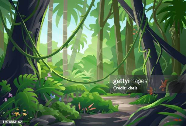 schönen dschungel - forest stock-grafiken, -clipart, -cartoons und -symbole