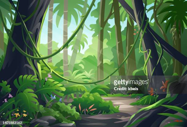  Ilustraciones de Selva Tropical - Getty Images