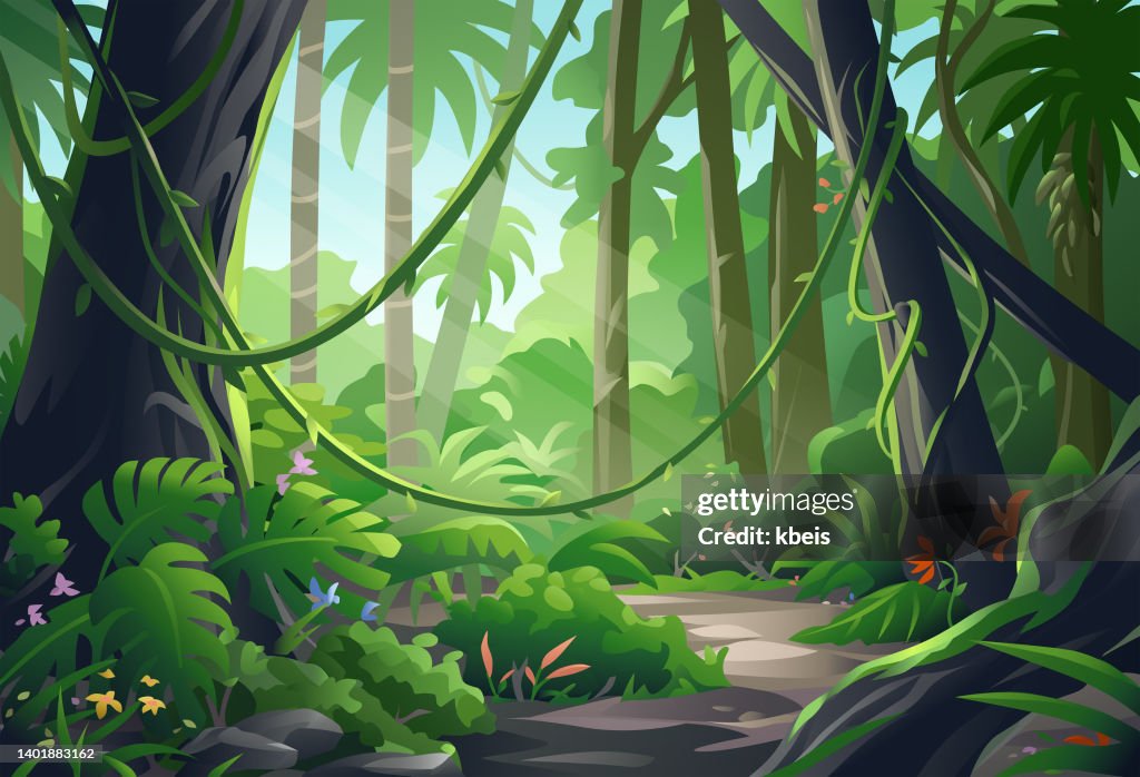 Beautiful Jungle