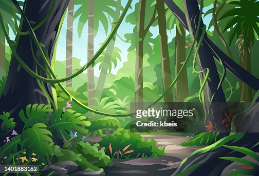 5,519 Jungle High Res Illustrations - Getty Images