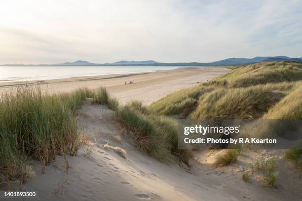 harlech beach, gwynedd, north wales - wales coast stock pictures, royalty-free photos & images