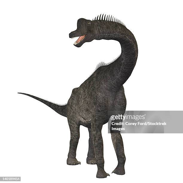 bildbanksillustrationer, clip art samt tecknat material och ikoner med brachiosaurus dinosaur. - brachiosaurus