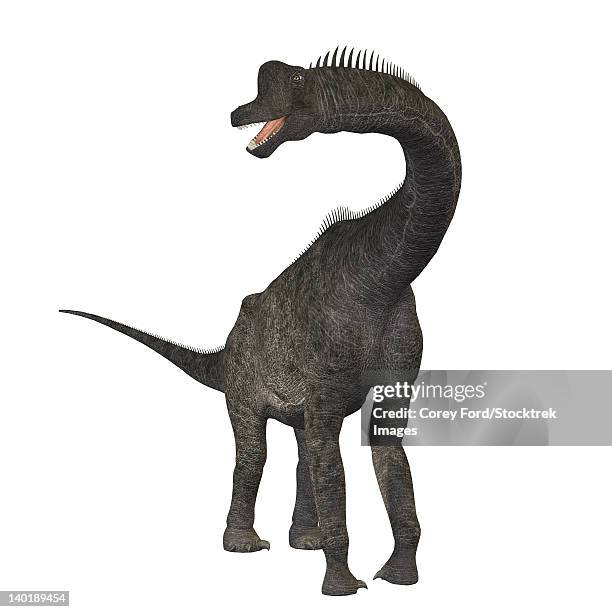 brachiosaurus dinosaur. - triassic stock illustrations