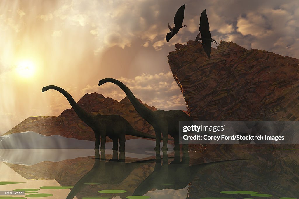Two Diplodocus dinosaurs and two flying pterodactyl birds greet the early morning mist.