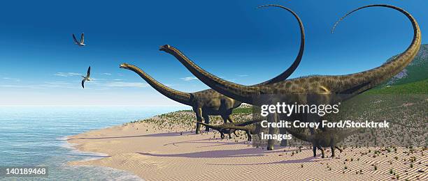 a diplodocus herd comes down to a lake for a drink of water. - triassic stock illustrations