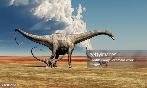 stockillustraties, clipart, cartoons en iconen met mother diplodocus dinosaur walks along with her brood of youngsters. - sauropoda