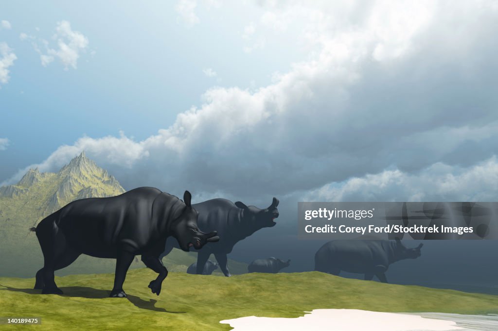 A herd of Brontotherium dinosaurs come to the lake to drink.