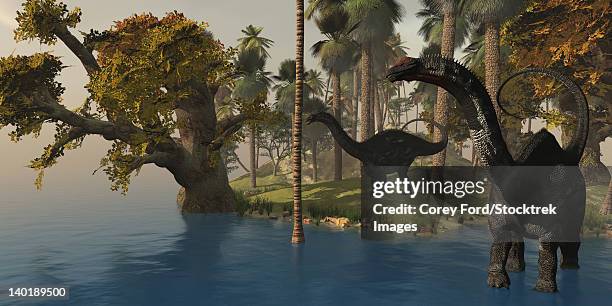two apatosaurus dinosaurs visit an island in prehistoric times. - swamp monster stock illustrations