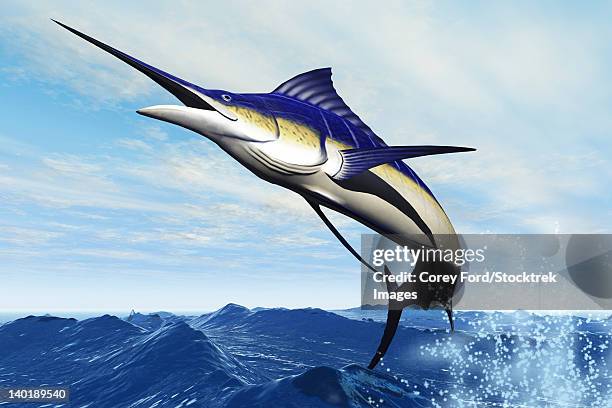 illustrations, cliparts, dessins animés et icônes de a sleek blue marlin bursts from the ocean surface in a grand leap. - marlin