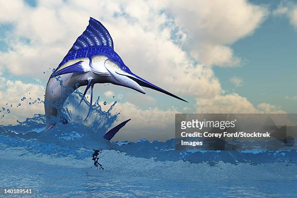 illustrazioni stock, clip art, cartoni animati e icone di tendenza di a blue marlin shows off his beautiful colors when bursting from the ocean. - marlin