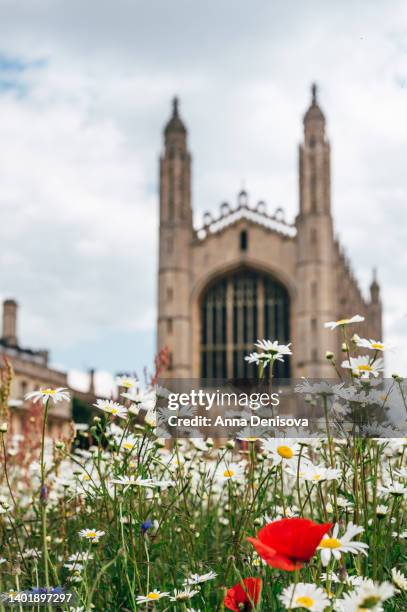 kings college, cambridge university - kingdom of england stock pictures, royalty-free photos & images