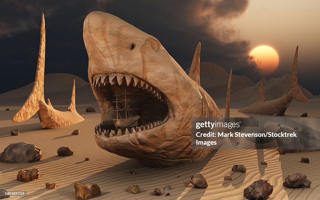 Megalodon desert.