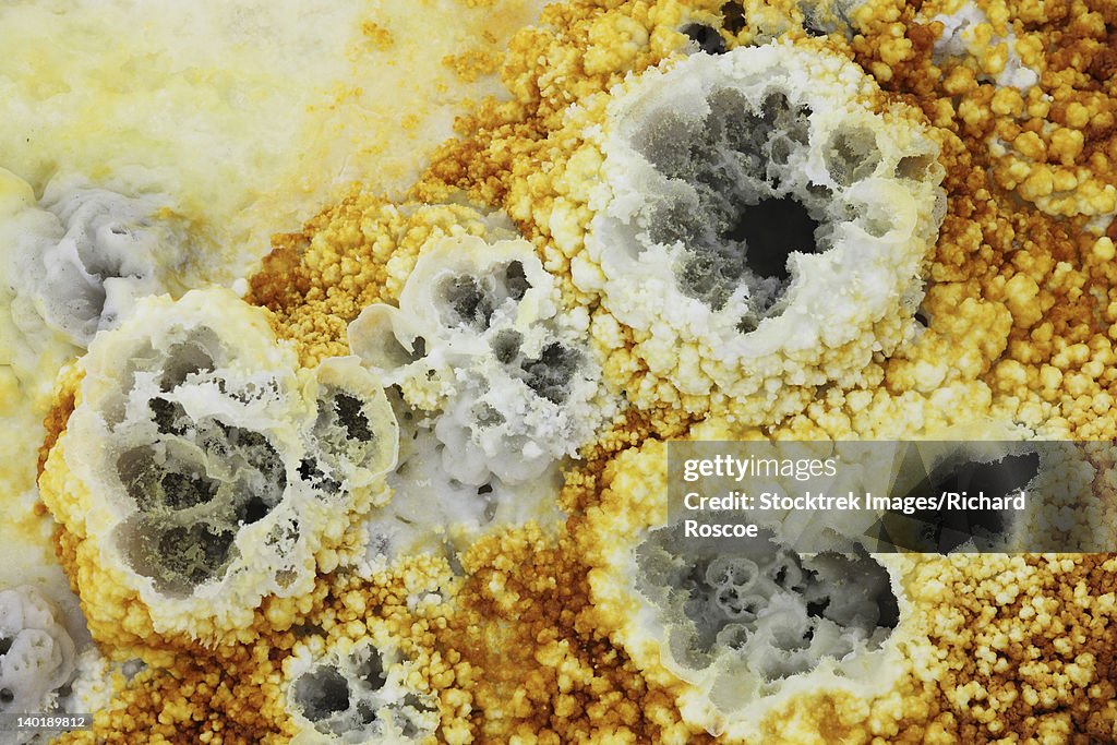 Fumaroles in potassium salt deposits, Dallol geothermal area, Danakil Depression, Ethiopia.