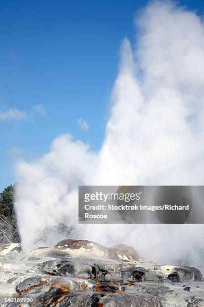 november 20, 2007 - prince of wales feathers geyser and pohutu geyser erupting, whakarewarewa geothermal area, rotorua, new zealand. - géiser pohutu imagens e fotografias de stock