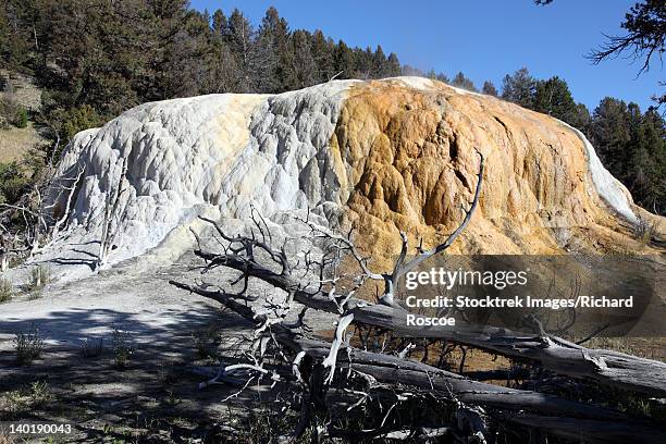 Sinter Land 72 Sinter (Geology) Stock Photos, High-Res Pictures, and Images - Getty ...