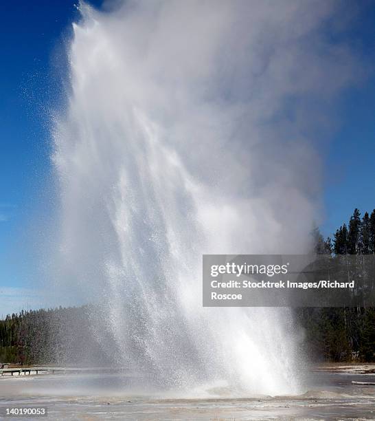 daisy geyser erupting, upper geyser basin geothermal area, yellowstone national park. - daisy geyser stock pictures, royalty-free photos & images