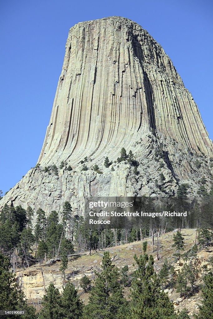 September 15, 2009 - Devils Tower, a monolithic igneous intrusion or laccolith made of columns of phonolite porphyry, Wyoming.