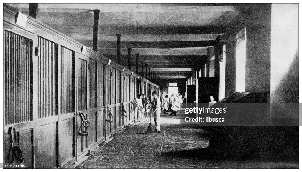 Antique photo: Pompadour Castle, Stables