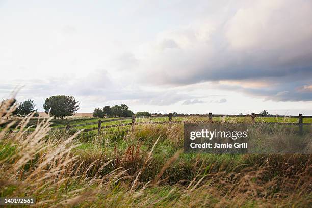 ireland, county westmeath, landscape with pasture - condado de westmeath fotografías e imágenes de stock