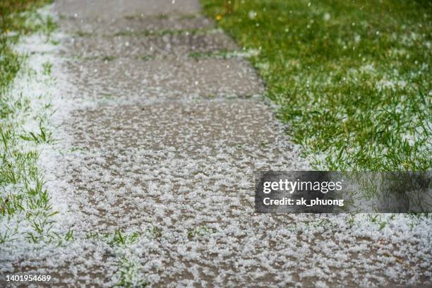 hail - sleet stock pictures, royalty-free photos & images