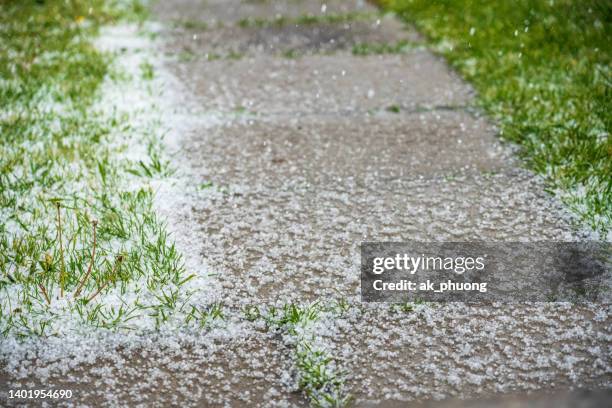 hail - hailstorm stock pictures, royalty-free photos & images