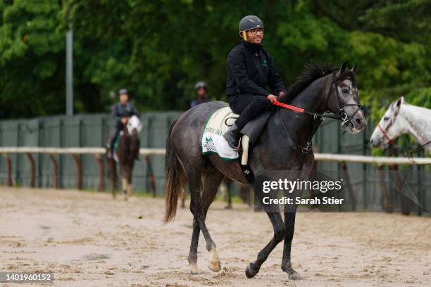 Barber Road walks off the track after a morning workout prior to the 154th running of the Belmont Stakes at Belmont Park on June 09, 2022 in Elmont,...