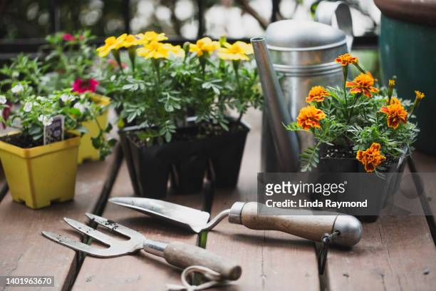 time to plant the flowers on the porch - balcony decoration stock pictures, royalty-free photos & images