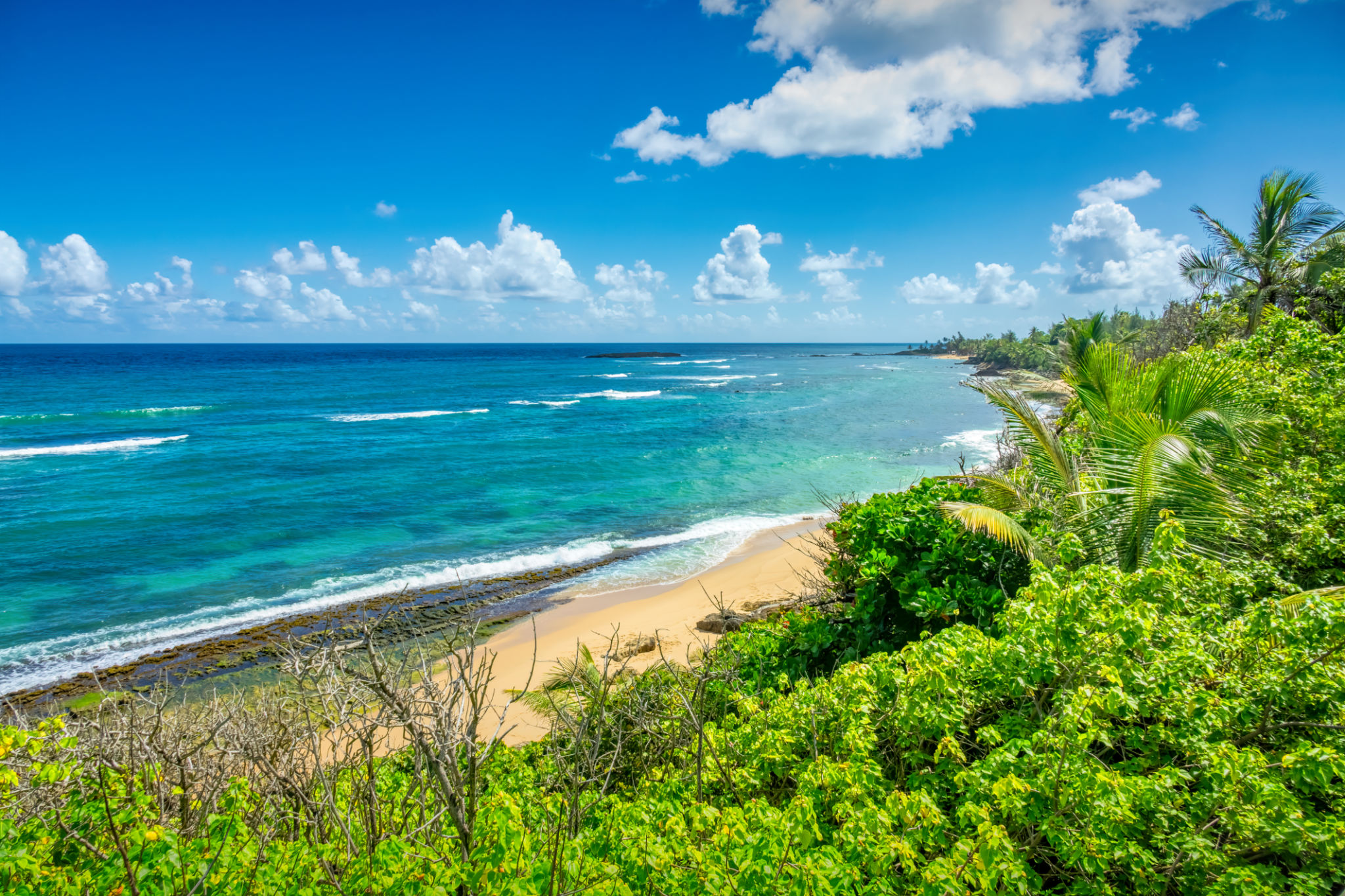 Puerto Rico Tropical Beach Puerto Rico Tropical Beach