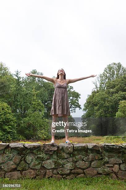 usa, new jersey, happy woman standing on stone wall on field - stone wall garden stock pictures, royalty-free photos & images