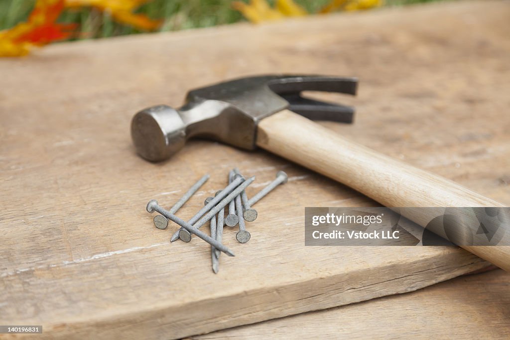 USA, Illinois, Metamora, Hammer and nails on wood