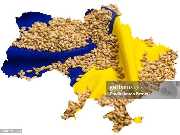 grain on the background of the ukrainian flag. concept of food supply crisis and global food scarcity because of war in ukraine. - rye grain fotografías e imágenes de stock