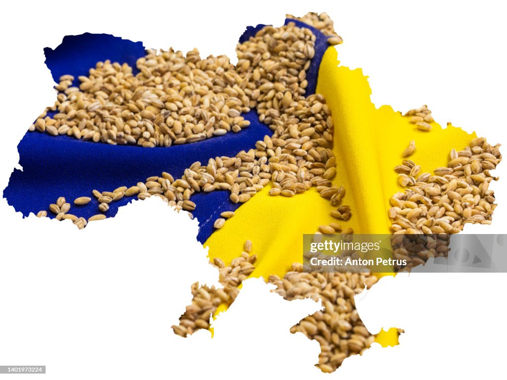 Grain on the background of the Ukrainian flag. Concept of food supply crisis and global food scarcity because of war in Ukraine.