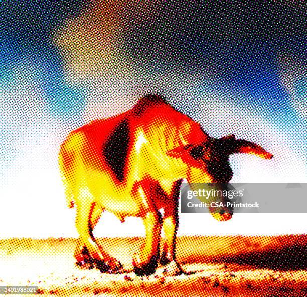 bull looking down - malnourished stock illustrations