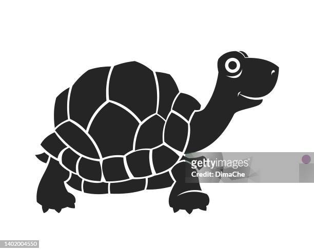 116 Turtle Shell Cartoon High Res Illustrations - Getty Images